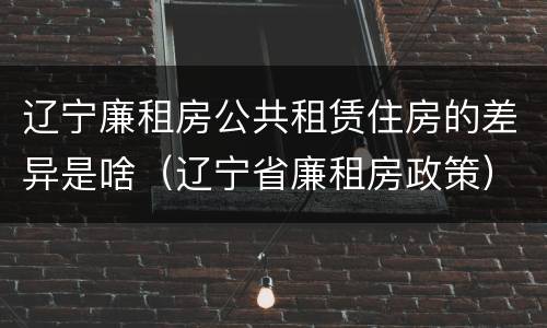 辽宁廉租房公共租赁住房的差异是啥（辽宁省廉租房政策）