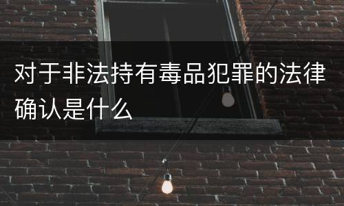对于非法持有毒品犯罪的法律确认是什么