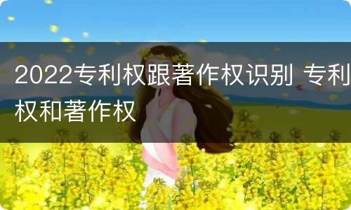2022专利权跟著作权识别 专利权和著作权