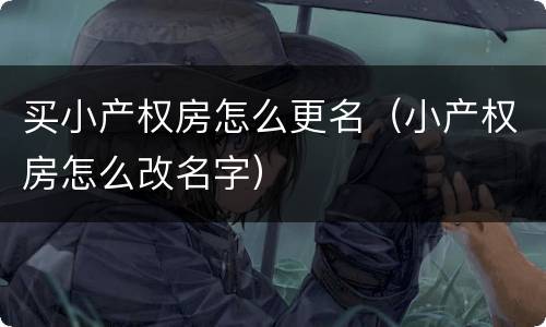 买小产权房怎么更名（小产权房怎么改名字）