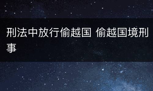 刑法中放行偷越国 偷越国境刑事