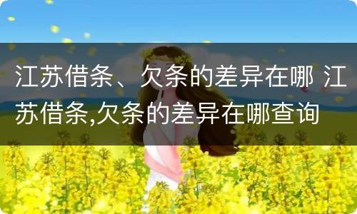 江苏借条、欠条的差异在哪 江苏借条,欠条的差异在哪查询
