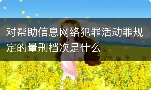 对帮助信息网络犯罪活动罪规定的量刑档次是什么