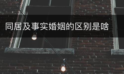 同居及事实婚姻的区别是啥