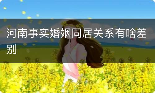 河南事实婚姻同居关系有啥差别
