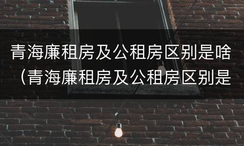 青海廉租房及公租房区别是啥（青海廉租房及公租房区别是啥呀）