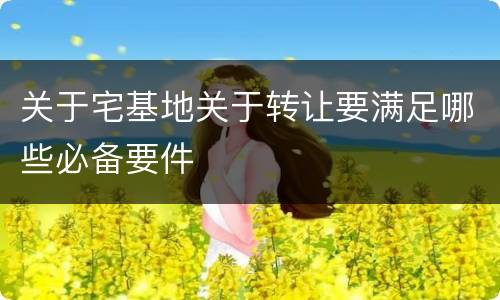 关于宅基地关于转让要满足哪些必备要件
