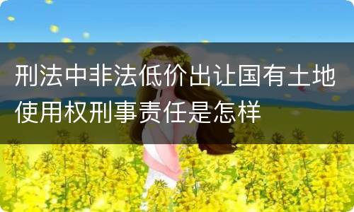 刑法中非法低价出让国有土地使用权刑事责任是怎样