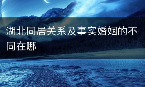 湖北同居关系及事实婚姻的不同在哪