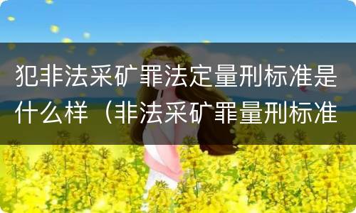 犯非法采矿罪法定量刑标准是什么样（非法采矿罪量刑标准情节特别严重）