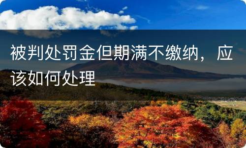被判处罚金但期满不缴纳，应该如何处理