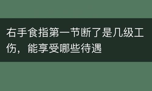 右手食指第一节断了是几级工伤，能享受哪些待遇