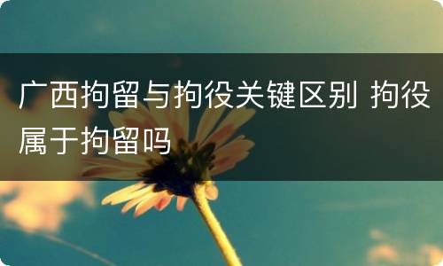 广西拘留与拘役关键区别 拘役属于拘留吗