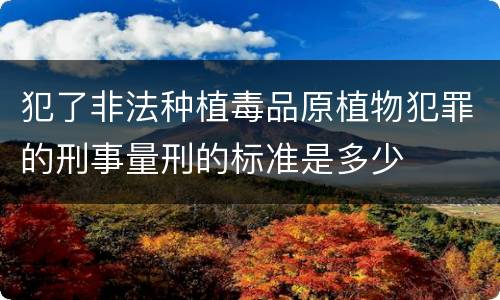 犯了非法种植毒品原植物犯罪的刑事量刑的标准是多少