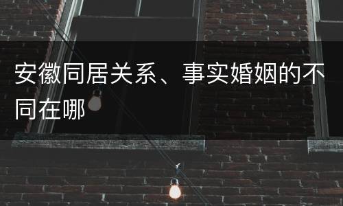 安徽同居关系、事实婚姻的不同在哪