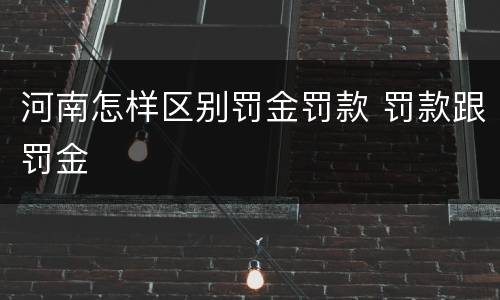 河南怎样区别罚金罚款 罚款跟罚金