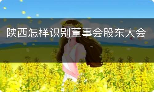 陕西怎样识别董事会股东大会