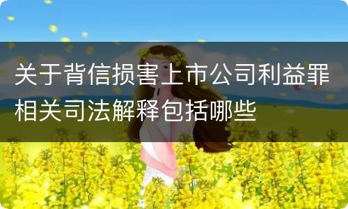 关于背信损害上市公司利益罪相关司法解释包括哪些