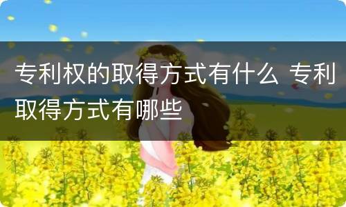 专利权的取得方式有什么 专利取得方式有哪些