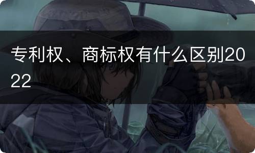专利权、商标权有什么区别2022