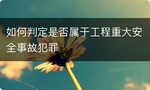 如何判定是否属于工程重大安全事故犯罪