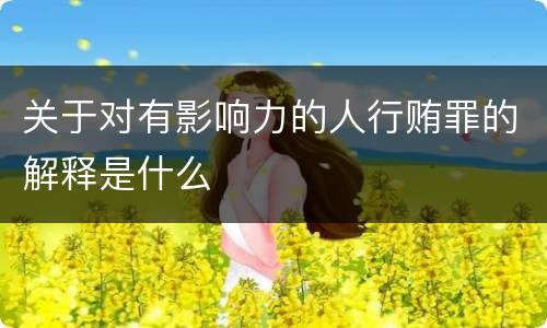 关于对有影响力的人行贿罪的解释是什么