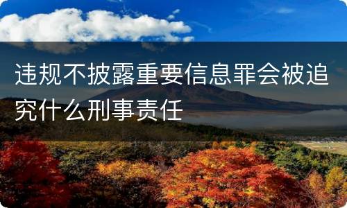 违规不披露重要信息罪会被追究什么刑事责任