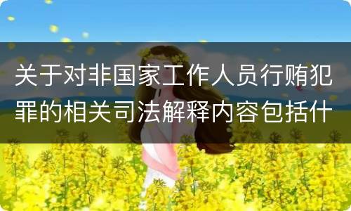 关于对非国家工作人员行贿犯罪的相关司法解释内容包括什么