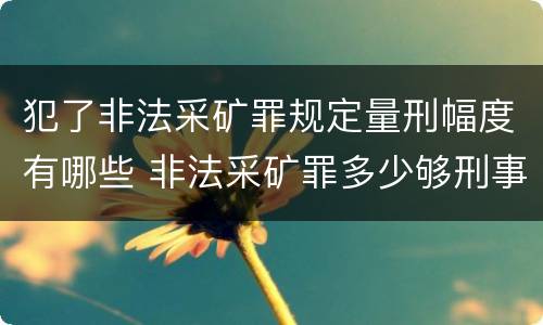 犯了非法采矿罪规定量刑幅度有哪些 非法采矿罪多少够刑事