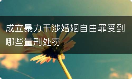 成立暴力干涉婚姻自由罪受到哪些量刑处罚