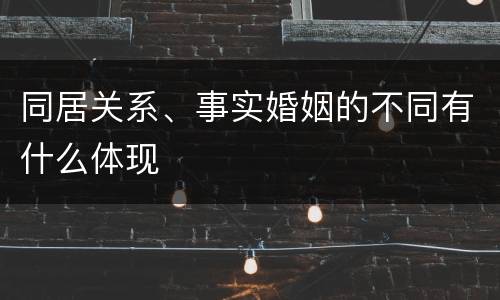 同居关系、事实婚姻的不同有什么体现