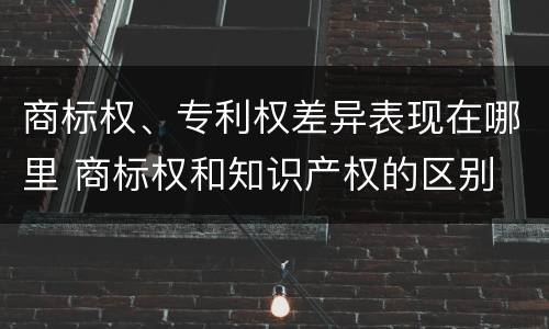 商标权、专利权差异表现在哪里 商标权和知识产权的区别