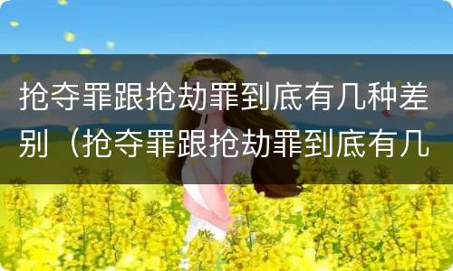 抢夺罪跟抢劫罪到底有几种差别（抢夺罪跟抢劫罪到底有几种差别呢）