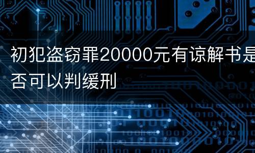 初犯盗窃罪20000元有谅解书是否可以判缓刑