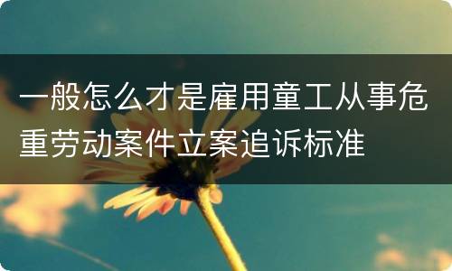 一般怎么才是雇用童工从事危重劳动案件立案追诉标准