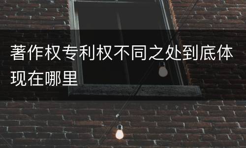 著作权专利权不同之处到底体现在哪里
