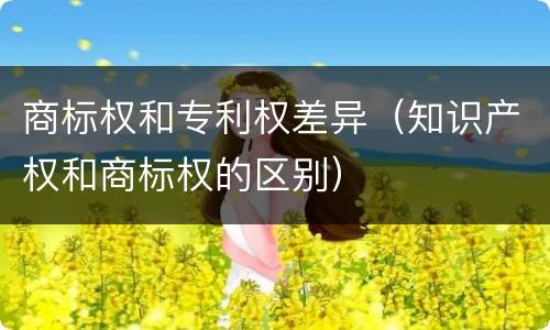 商标权和专利权差异（知识产权和商标权的区别）