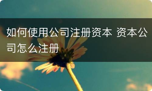 如何使用公司注册资本 资本公司怎么注册