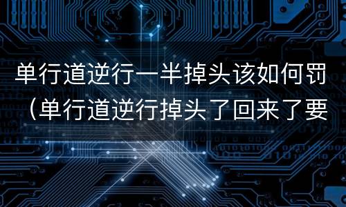 单行道逆行一半掉头该如何罚（单行道逆行掉头了回来了要扣分吗）