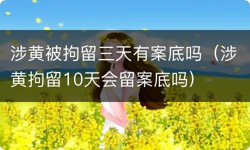 涉黄被拘留三天有案底吗（涉黄拘留10天会留案底吗）