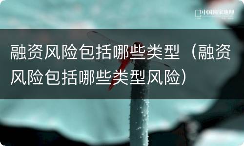 融资风险包括哪些类型（融资风险包括哪些类型风险）