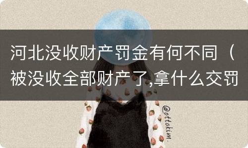 河北没收财产罚金有何不同（被没收全部财产了,拿什么交罚金）