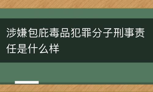 涉嫌包庇毒品犯罪分子刑事责任是什么样