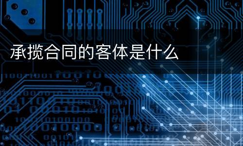 承揽合同的客体是什么