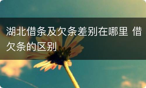湖北借条及欠条差别在哪里 借欠条的区别