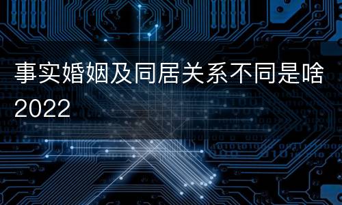 事实婚姻及同居关系不同是啥2022