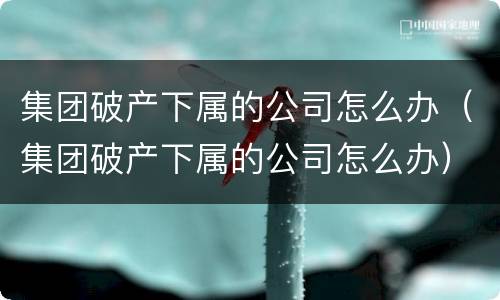 集团破产下属的公司怎么办（集团破产下属的公司怎么办）