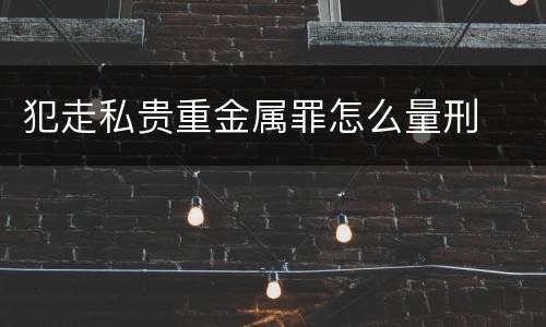 犯走私贵重金属罪怎么量刑