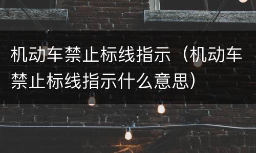 机动车禁止标线指示（机动车禁止标线指示什么意思）