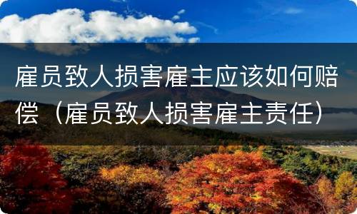 雇员致人损害雇主应该如何赔偿（雇员致人损害雇主责任）